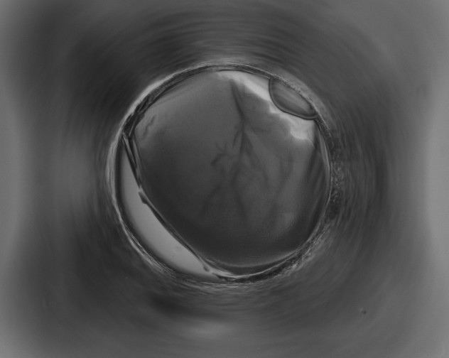 X0000086731127200705111609