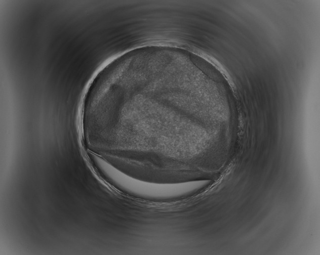 X0000086731128200705111609
