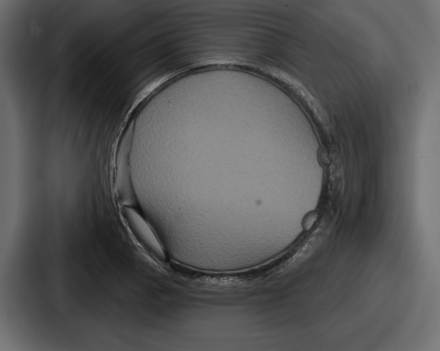 X0000086731129200705111609