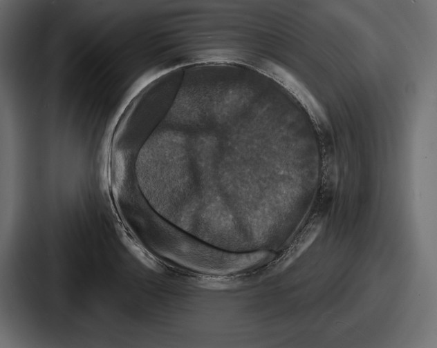 X0000086731132200705111609