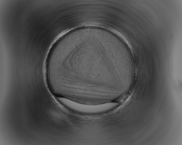X0000086731133200705111609