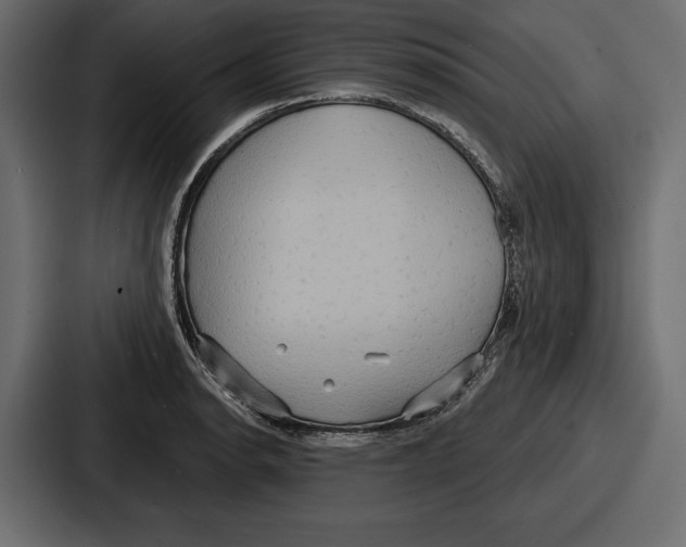 X0000086731134200705111609