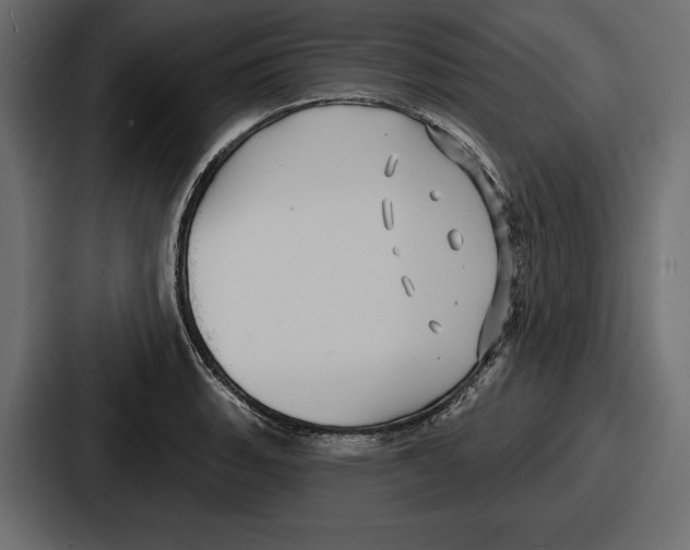 X0000086731135200705111609