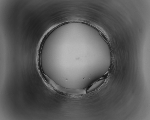 X0000086731136200705111609
