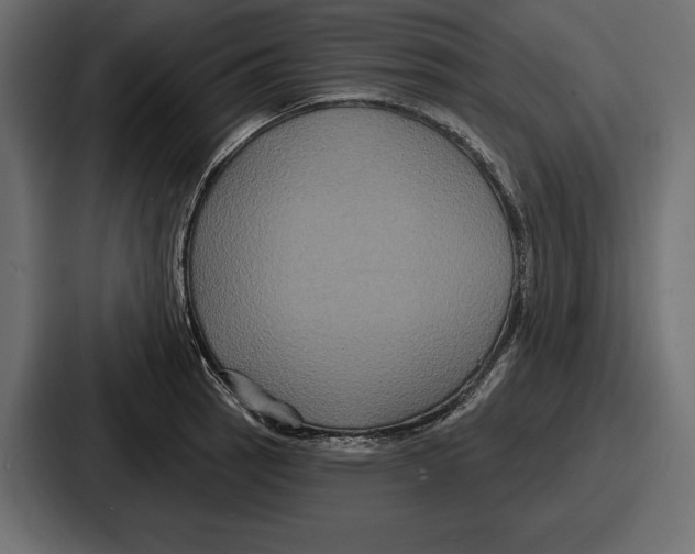 X0000086731137200705111609