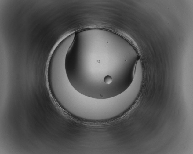X0000086731138200705111609