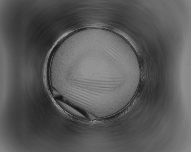 X0000086731139200705111609