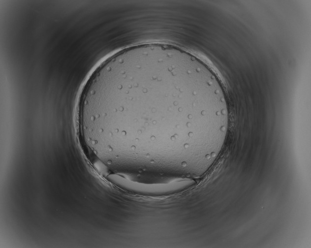 X0000086731140200705111609