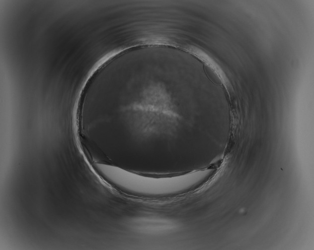 X0000086731141200705111610