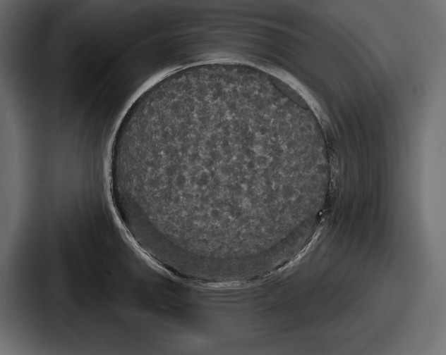 X0000086731142200705111610