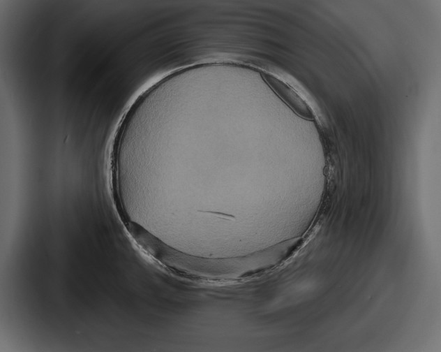 X0000086731143200705111610