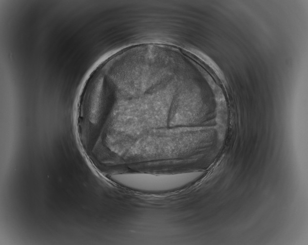 X0000086731144200705111610