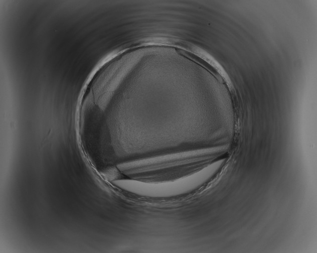 X0000086731146200705111610
