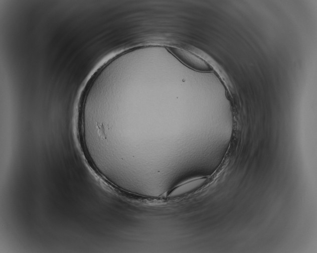 X0000086731147200705111610