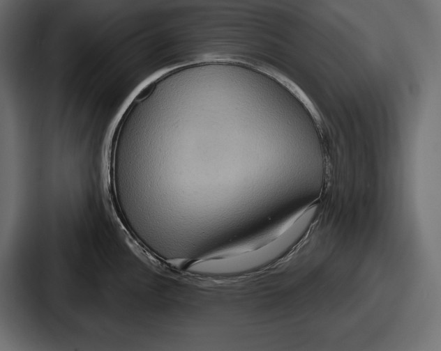 X0000086731148200705111610