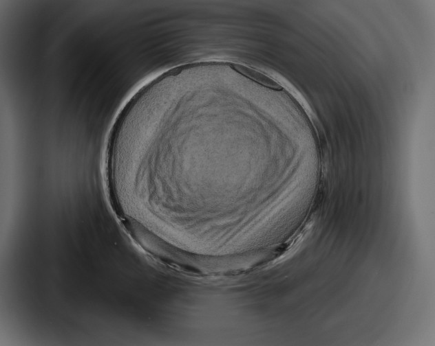 X0000086731149200705111610