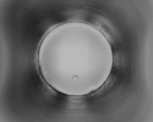 X0000086731150200705111610