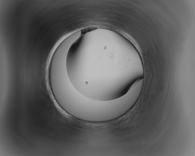 X0000086731152200705111610