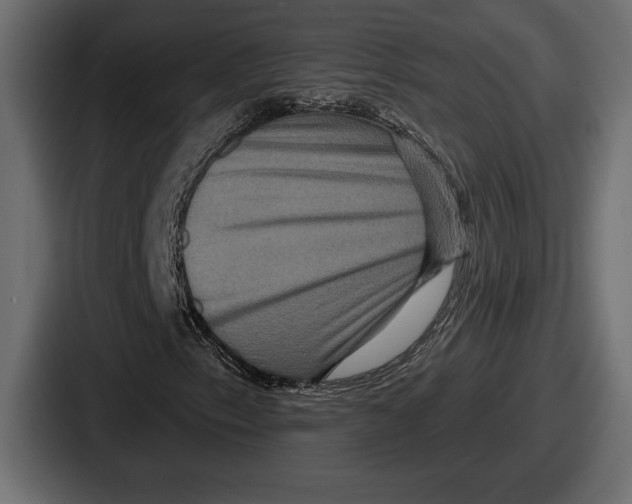 X0000086731153200705111609