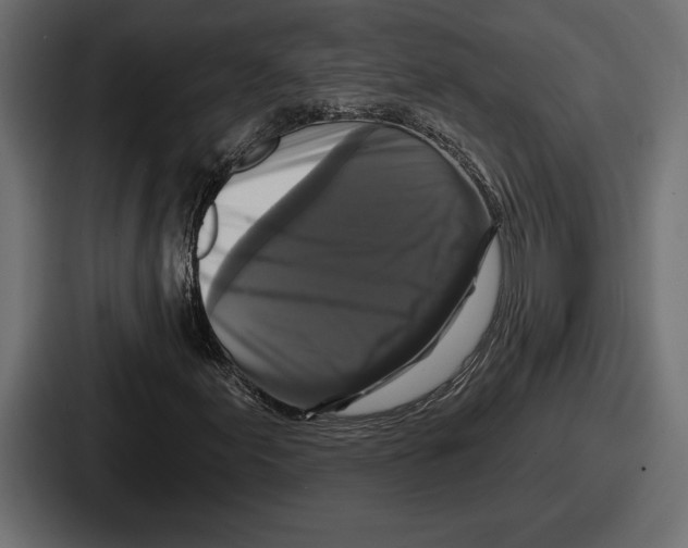 X0000086731155200705111609