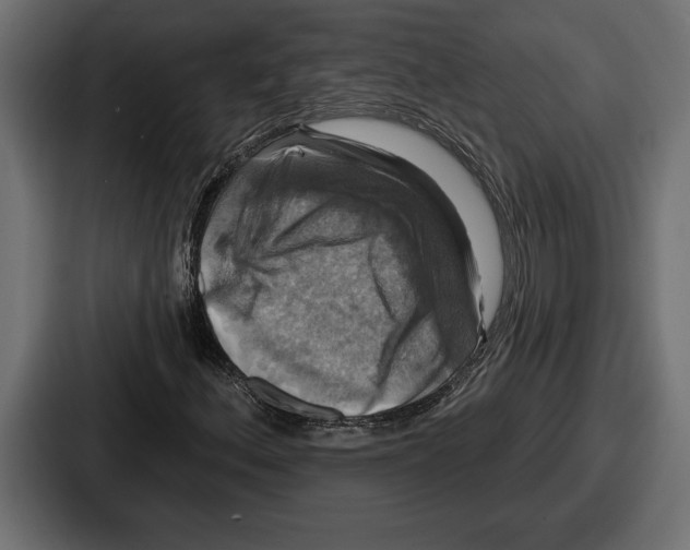 X0000086731156200705111609