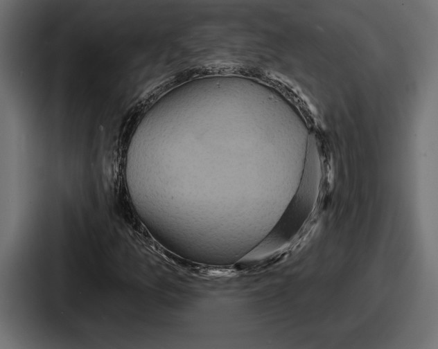 X0000086731157200705111609
