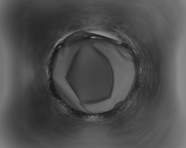 X0000086731160200705111609