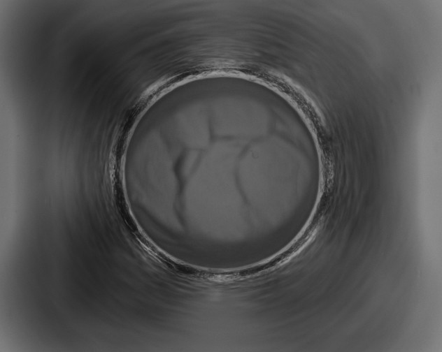 X0000086731161200705111609