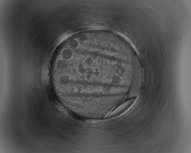X0000086731163200705111609