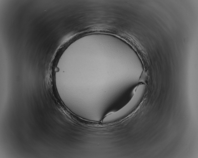 X0000086731164200705111609