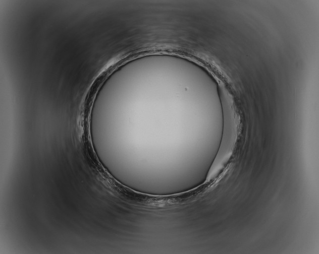 X0000086731165200705111609
