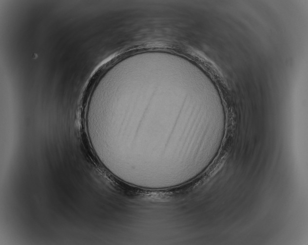 X0000086731166200705111609