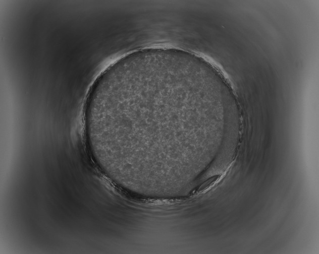 X0000086731167200705111609