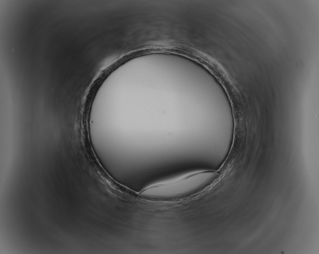 X0000086731168200705111609