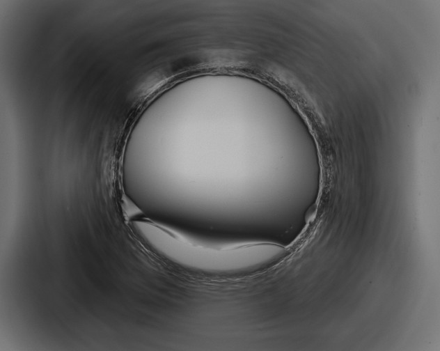 X0000086731169200705111609