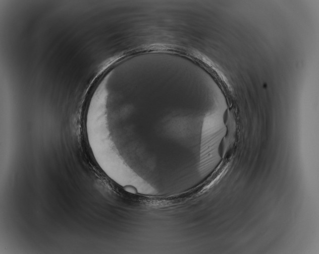 X0000086731170200705111609
