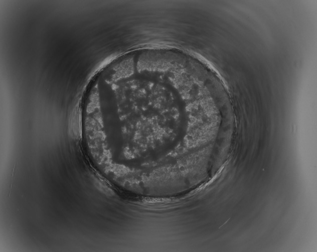 X0000086731171200705111609