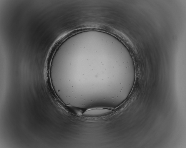 X0000086731172200705111609