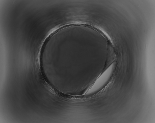 X0000086731173200705111609