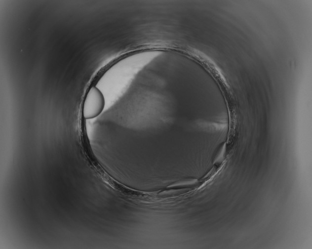 X0000086731174200705111609