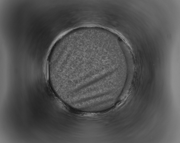 X0000086731175200705111609