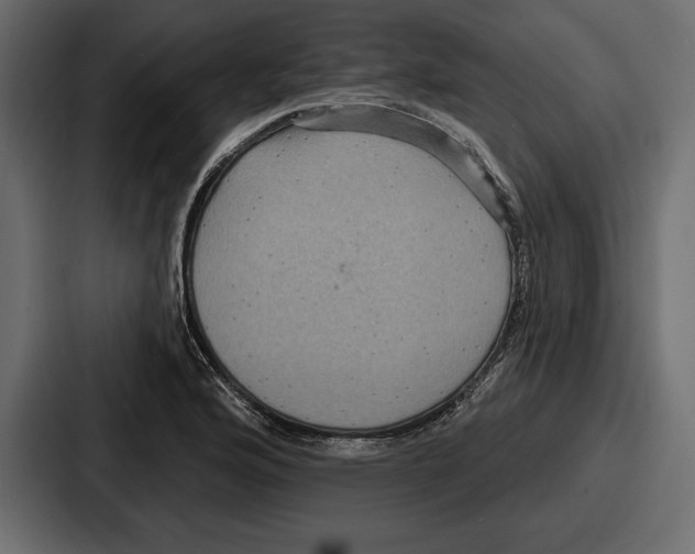 X0000086731176200705111609
