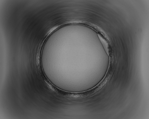 X0000086731177200705111609