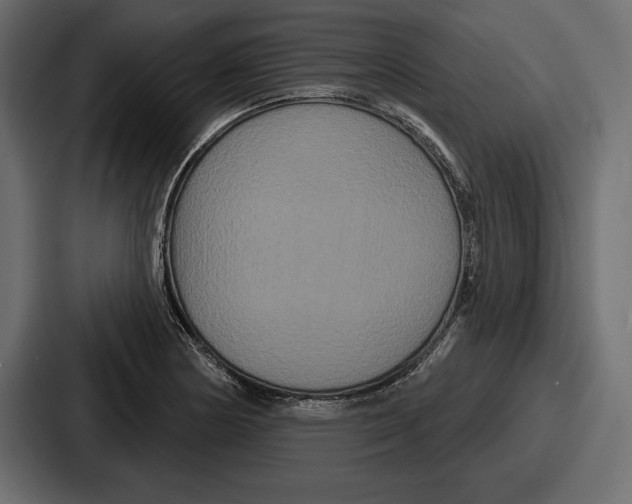X0000086731178200705111609