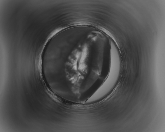 X0000086731179200705111609