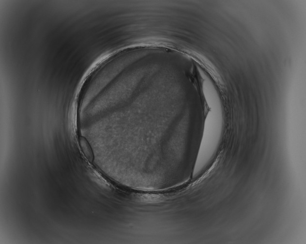 X0000086731180200705111609