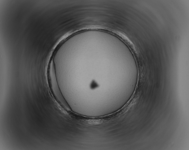 X0000086731181200705111609