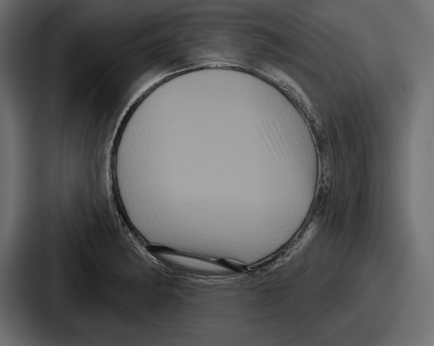 X0000086731182200705111609