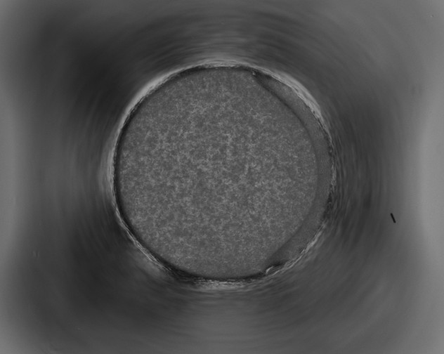 X0000086731183200705111609