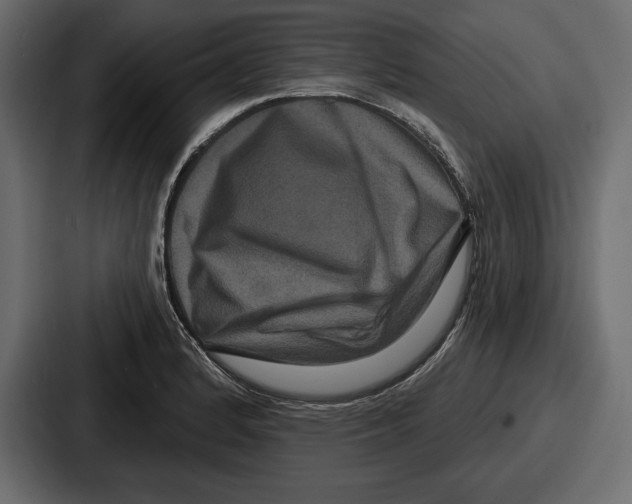 X0000086731184200705111609